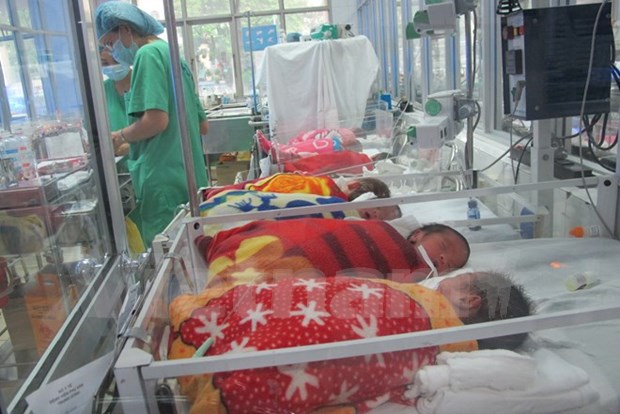 Vietnam responds to surrogacy demand hinh anh 1