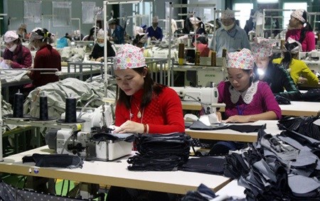 Garment firms prepare for tough battle at home as trade deals loom hinh anh 1