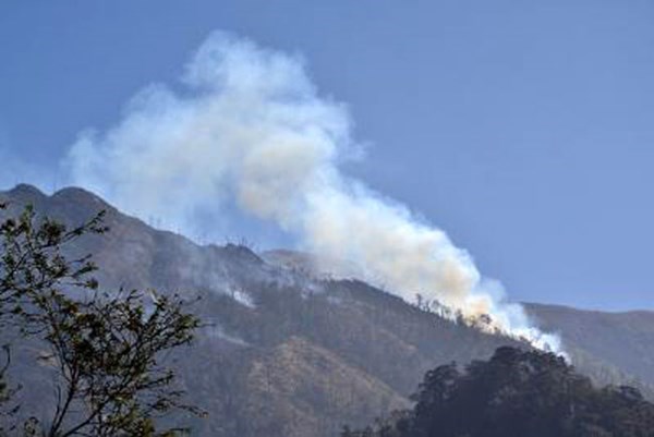 Forest fire breaks out in Hoang Lien Son National Park during Tet hinh anh 1