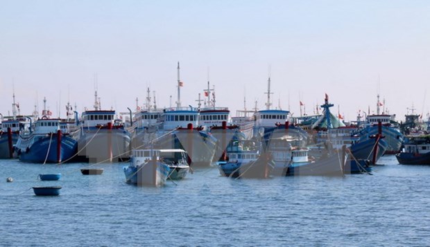 Island fishermen reap profits from decree on fishing development hinh anh 1