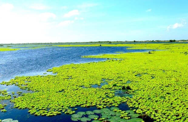 U Minh Thuong becomes Vietnam’s 8th Ramsar site hinh anh 1