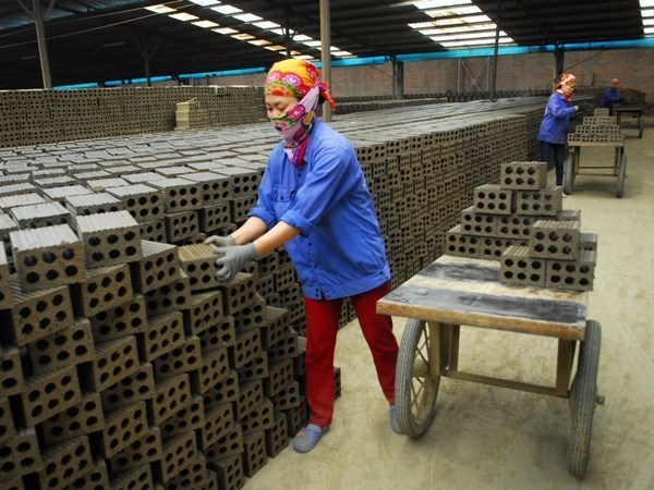 Small, medium firms attract foreign investors hinh anh 1