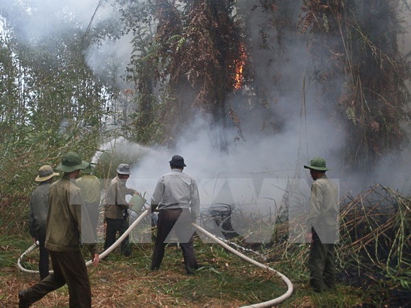 Binh Duong on alert for forest fires hinh anh 1