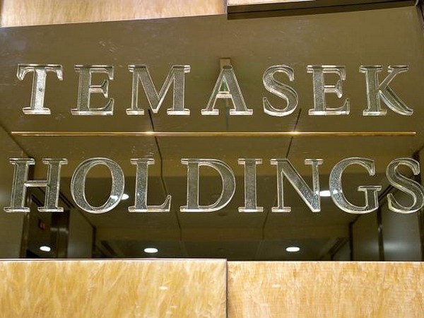 Temasek to eye finance, hi-tech, healthcare partnerships hinh anh 1