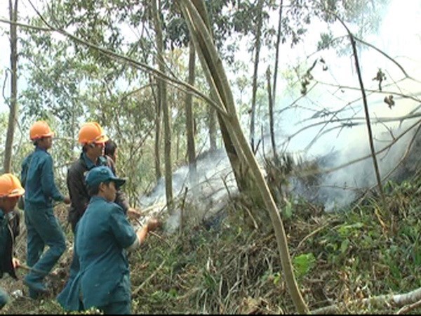 Tay Ninh rolls out drastic solutions to forest fires hinh anh 1