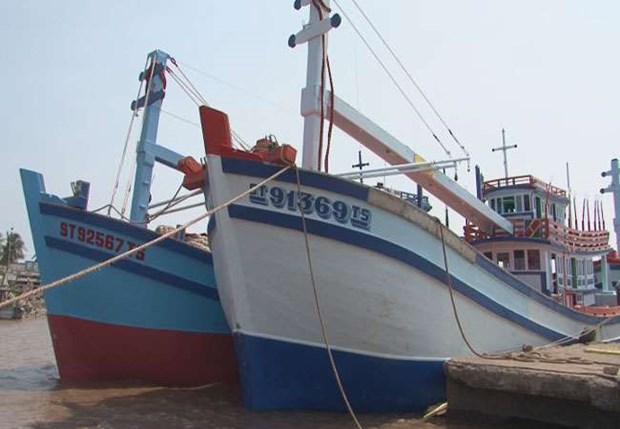 Soc Trang launches wood-hulled fishing boats built under Decree 67 hinh anh 1