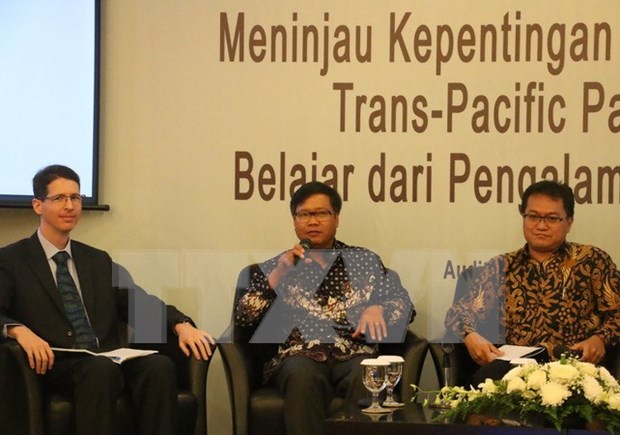Vietnam willing to share TPP joining experience with Indonesia hinh anh 1