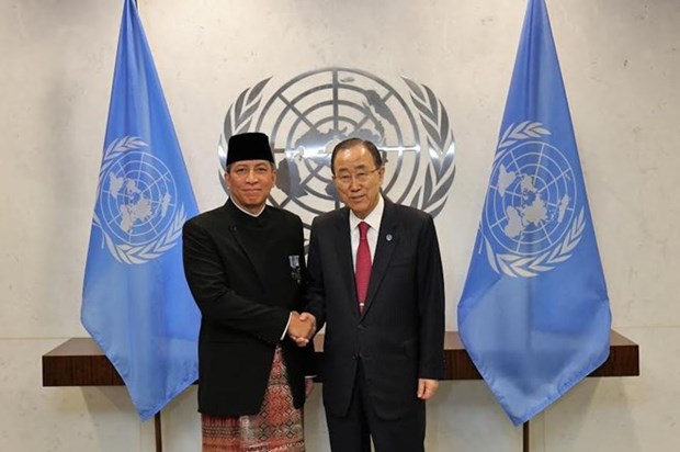 Indonesia to improve role in UN hinh anh 1