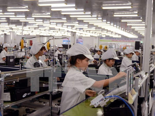 Hanoi’s exports see 0.2 percent growth hinh anh 1