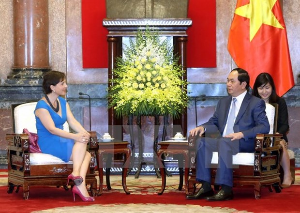 Vietnam wishes to welcome more Italian investors: President hinh anh 1