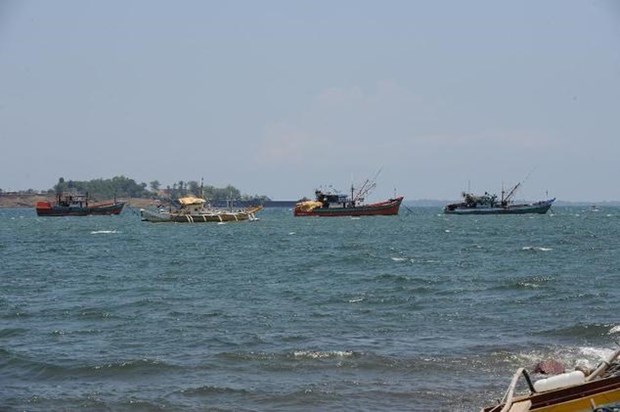Philippines arrests dozens of Vietnamese, Chinese fishermen hinh anh 1