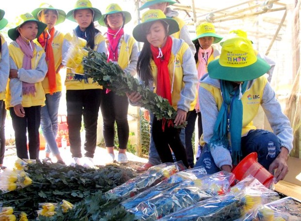 Summer camp brings valuable experiences to children hinh anh 1