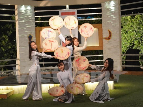 Vietnamese cultural show goes live on Egypt’s television hinh anh 1