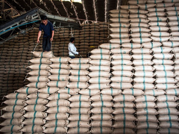 Thailand to sell 10 million tonnes of stockpiled rice hinh anh 1