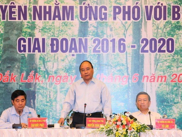 Government declares closing of natural forests hinh anh 1