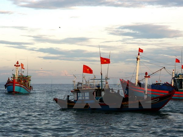 Int’l mechanism crucial to ensure maritime workers’ rights hinh anh 1