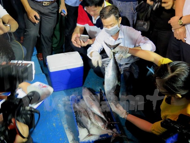 Misfortunate fishermen in Phu Yen receive support hinh anh 1