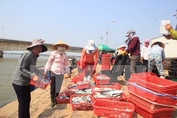 Numerous supports proposed for pollution-affected fishermen hinh anh 1