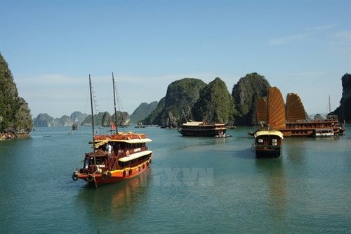 Ha Long, Cat Ba cooperate to improve environment hinh anh 1