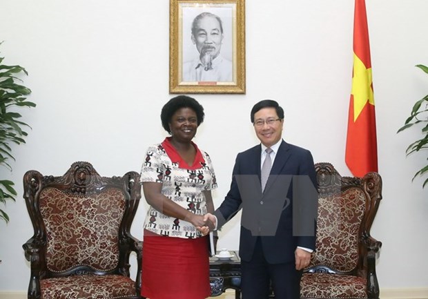 Deputy Prime Minister welcomes WB Vice President hinh anh 1