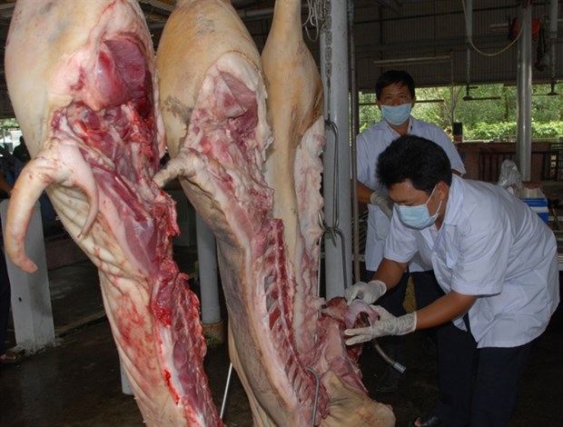 HCM City to use high-tech method to trace pork origins hinh anh 1