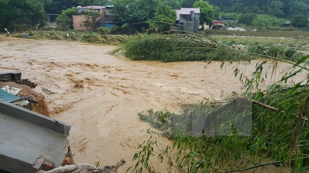 PM urges measures to address flood consequences hinh anh 1