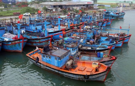 Fishing fleet in Thanh Hoa boosts capacity hinh anh 1