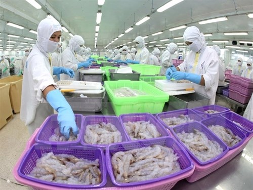 MARD stops licensing seafood shipments to EU hinh anh 1