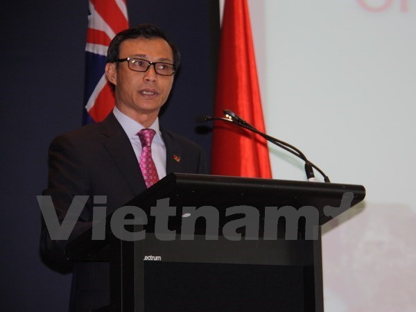 Vietnam looks to foster exports to Australia: diplomat hinh anh 1