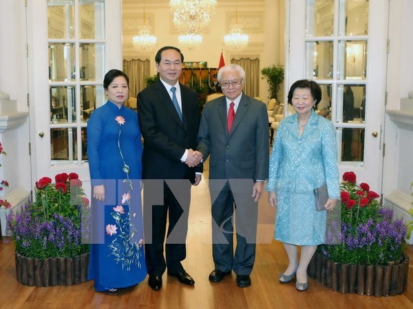 President affirms Vietnam’s wish to boost ties with Singapore hinh anh 1