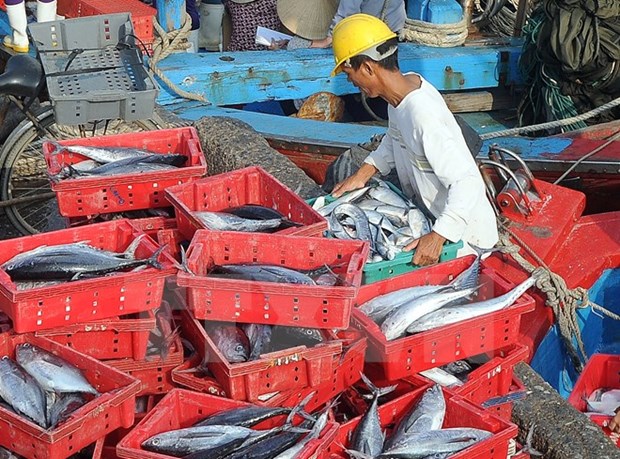Seafood catches reach 2 million tonnes in eight months hinh anh 1