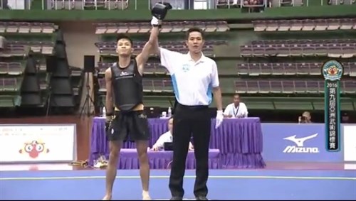 Vietnam brings home four Asian wushu golds hinh anh 1