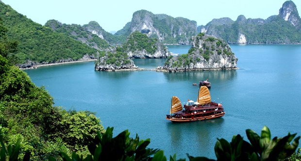Dining service terminated in Ha Long Bay’s caves hinh anh 1