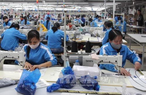 Vietnam’s apparel sector celebrated hinh anh 1