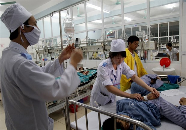Vietnam's health illiteracy hurts quality of care: experts hinh anh 1