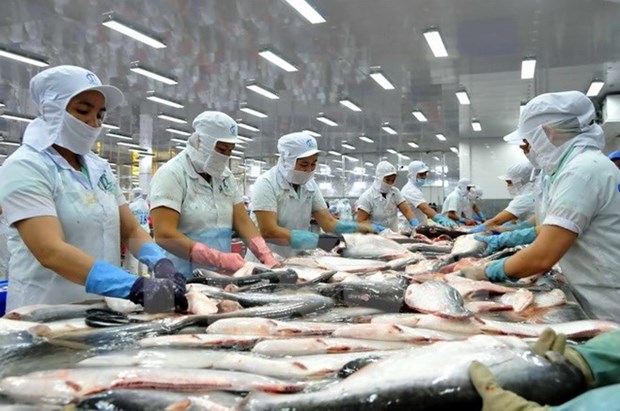 US suspends new Vietnamese catfish exporter's registration hinh anh 1