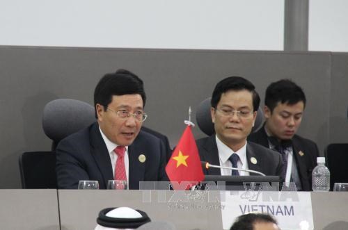 Solidarity promotes NAM strength: Deputy PM hinh anh 1