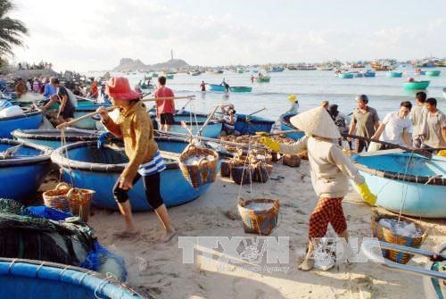 Ecosystem in environmental incident-affected provinces recovers hinh anh 1