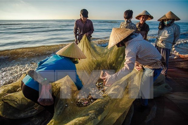 Deputy PM urges fast delivery of compensation for marine pollution vic hinh anh 1