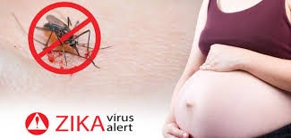 Singapore: 16 pregnant women infected with Zika hinh anh 1