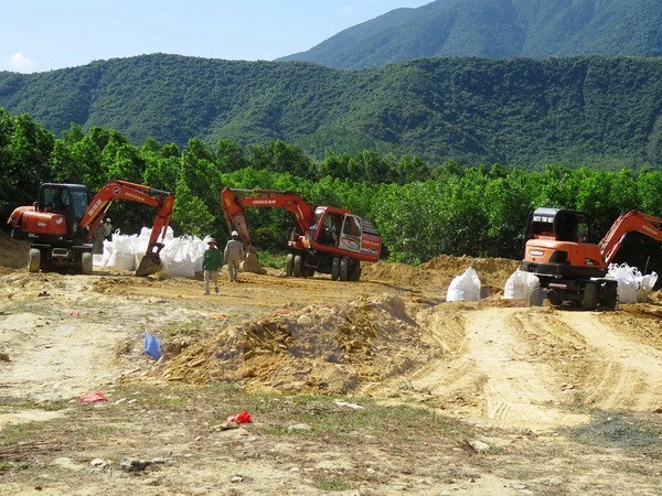 Vietnam must not be dump site: official hinh anh 1