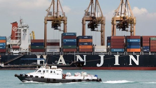 Vietnamese exporters seek help after Hanjin bankruptcy hinh anh 1