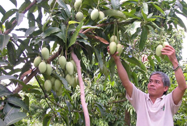 Mekong Delta urged to use advanced farming techniques hinh anh 1