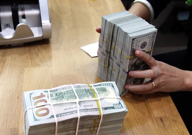 Reference exchange rate for VND/USD rises by 12 VND hinh anh 1
