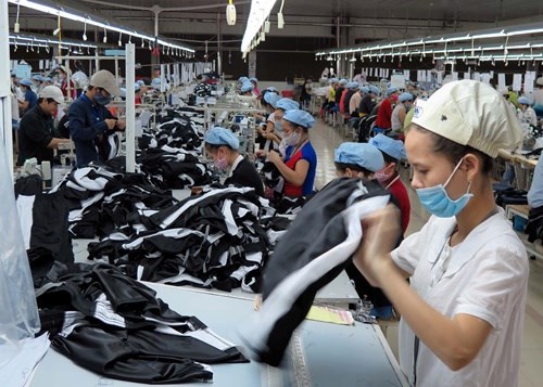 Ministry suggests changes in garment industry hinh anh 1