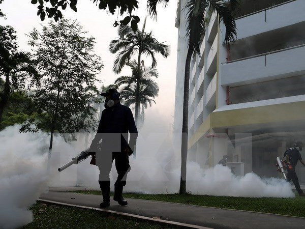 WHO warns of Zika virus spread in Asia-Pacific hinh anh 1