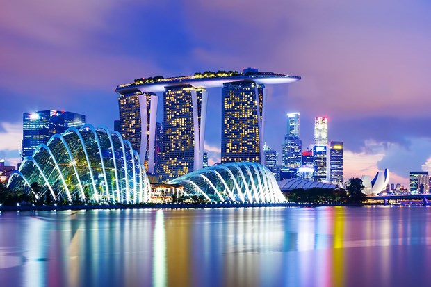 Singapore's GDP grows 0.6 percent in Q3 hinh anh 1