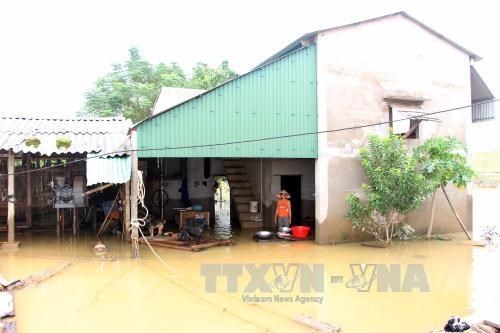 Italy helps Vietnam enhance flood warning capability hinh anh 1