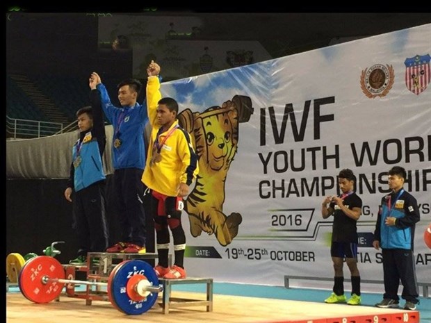 Vietnam wins two golds at weightlifting championship hinh anh 1