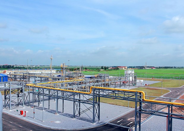 Ham Rong-Thai Binh gas system reaches yearly target early hinh anh 1